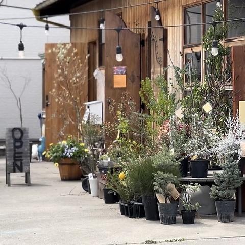 embrace olive エンブレイスオリーブ