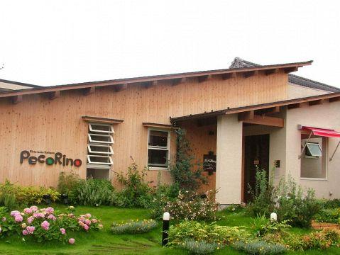 ペコリーノ 岐阜