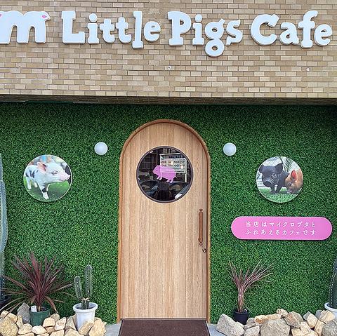 m Little Pigs Cafe エムリトルピッグスカフェ