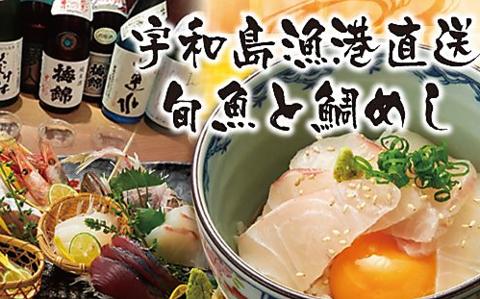 宇和島漁港直送 旬魚と鯛めし がいや