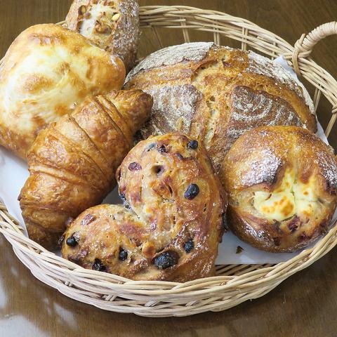 Viser Polaire ヴィゼ ポレール