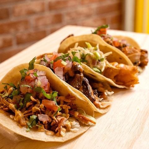 Tacomia Momochi Two Dogs タコミアモモチツードッグス