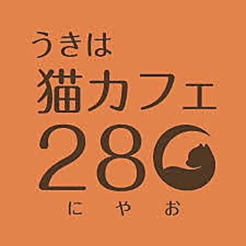 うきは猫カフェ28○ にゃお