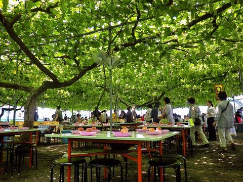 御坂農園グレープハウス