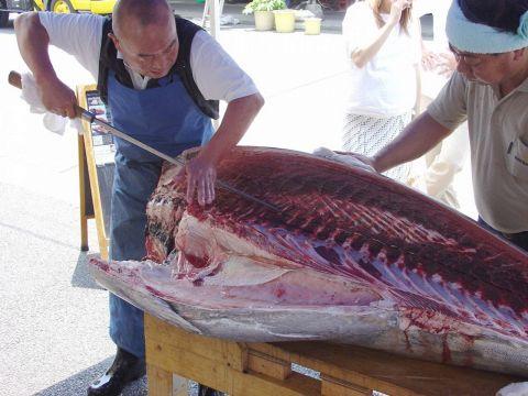 築地すし鮮 恵比寿東口店
