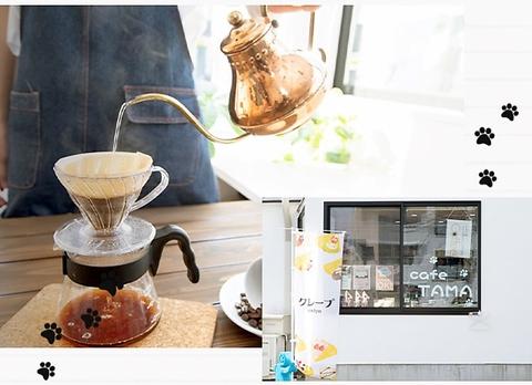 cafe321andTAMA カフェミニピンアンドタマ