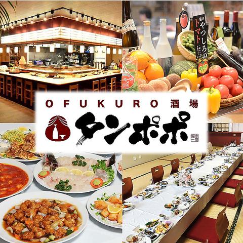 OFUKURO酒場 タンポポ