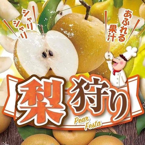 ピッツェリアマリノ 柏高島屋店