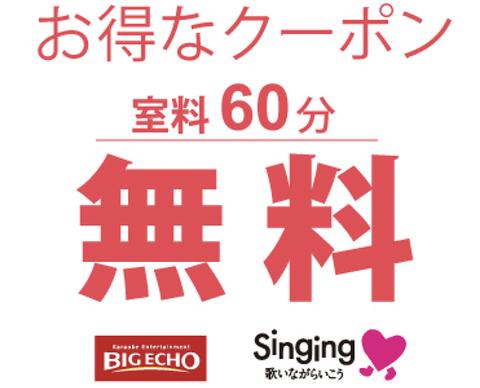 ビッグエコー BIG ECHO 新潟駅前店