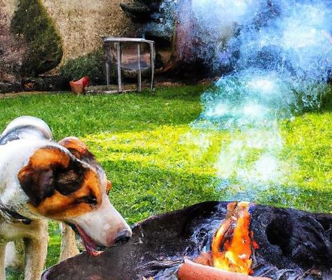 ワンコカフェ&BBQ ジビエールカフェ