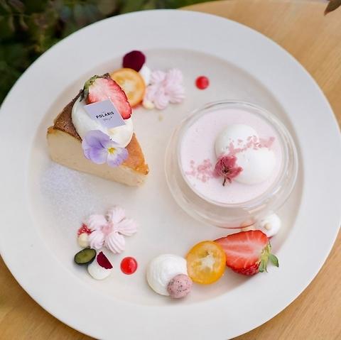 Cafe Polaris カフェポラリス