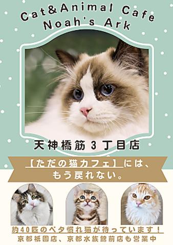 Cat&Animal Cafe Noah s Ark ノアズアーク 大阪天神橋3丁目店