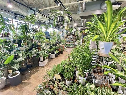 ガーデナーズ てんしばイーナ店