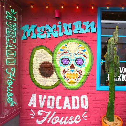 AVOCADO HOUSE NAMBA アボカドハウス 難波店