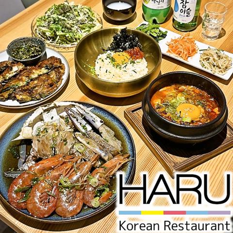 韓国料理 HARU