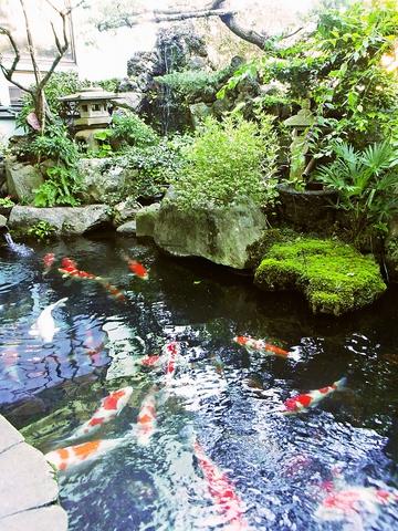 満留賀 町田市忠生