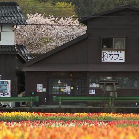 のんびりカフェ中車水車小屋