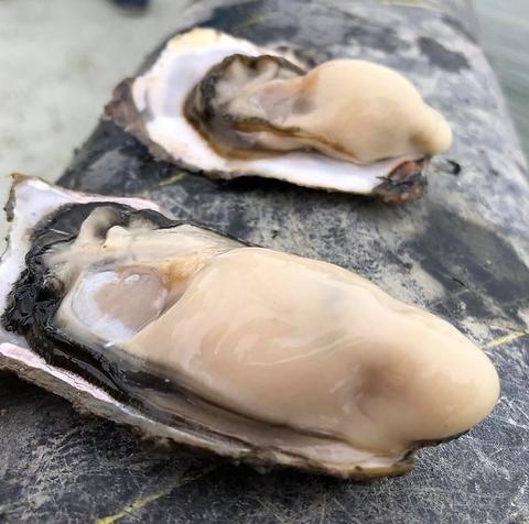 牡蠣と寿司 うみのおきて 仙台銀座店