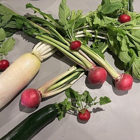 野菜と地鶏　飲み放題　らんちゅう