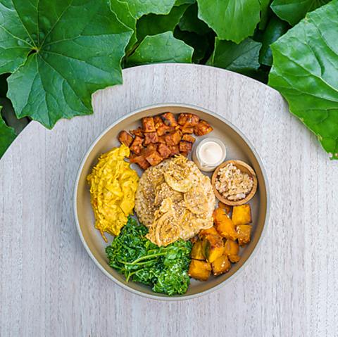 ALCHEMY アルケミー