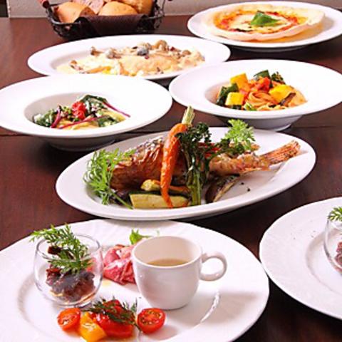 オッキャーリ オガ