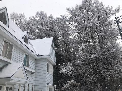 フォーレス かわしま