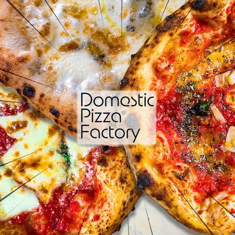 domestic pizza factory