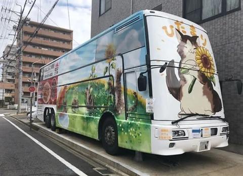 保護猫カフェ ひだまり号