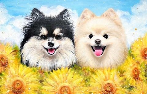 ごはん家PUALA プアラ