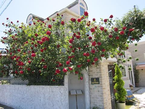 薔薇舘 ラ・ローゼ ブランシュ