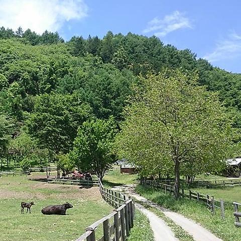 やさい村信州高遠藤沢郷 こかげ