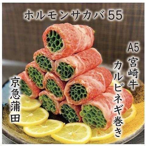 ホルモン酒場55　京急蒲田店