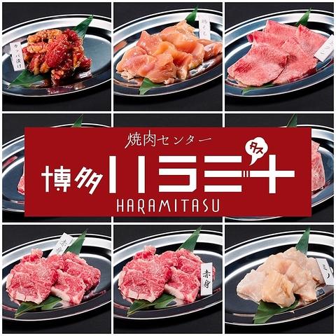 焼肉センター 博多 ハラミ+ HARAMITASU