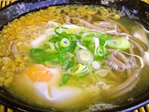 うどん店 たぬき