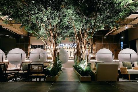 シーシャカフェ&バー muse 渋谷松濤店